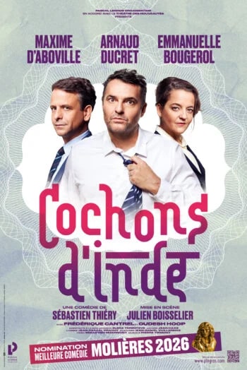 COCHONS D’INDE