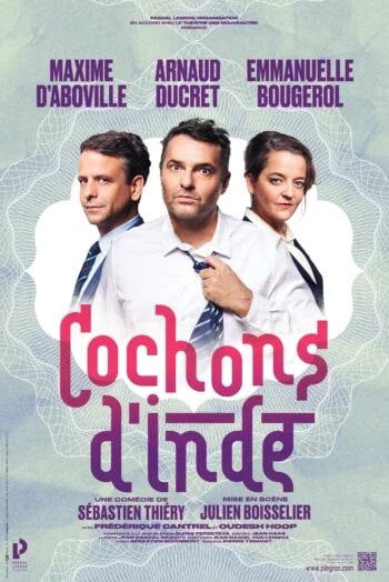 COCHONS D’INDE